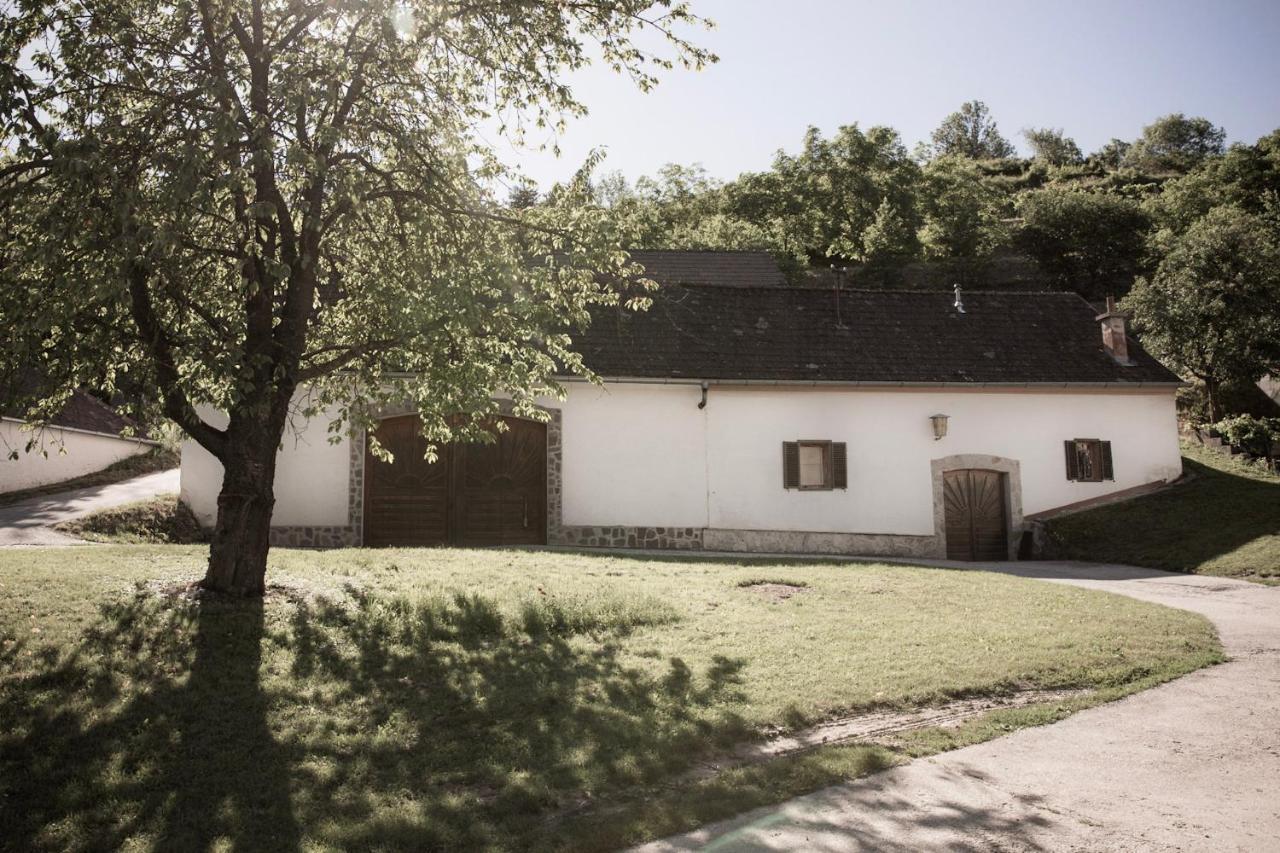 Ferienwohnung Am Weingut Eisenbock Strass  Zewnętrze zdjęcie