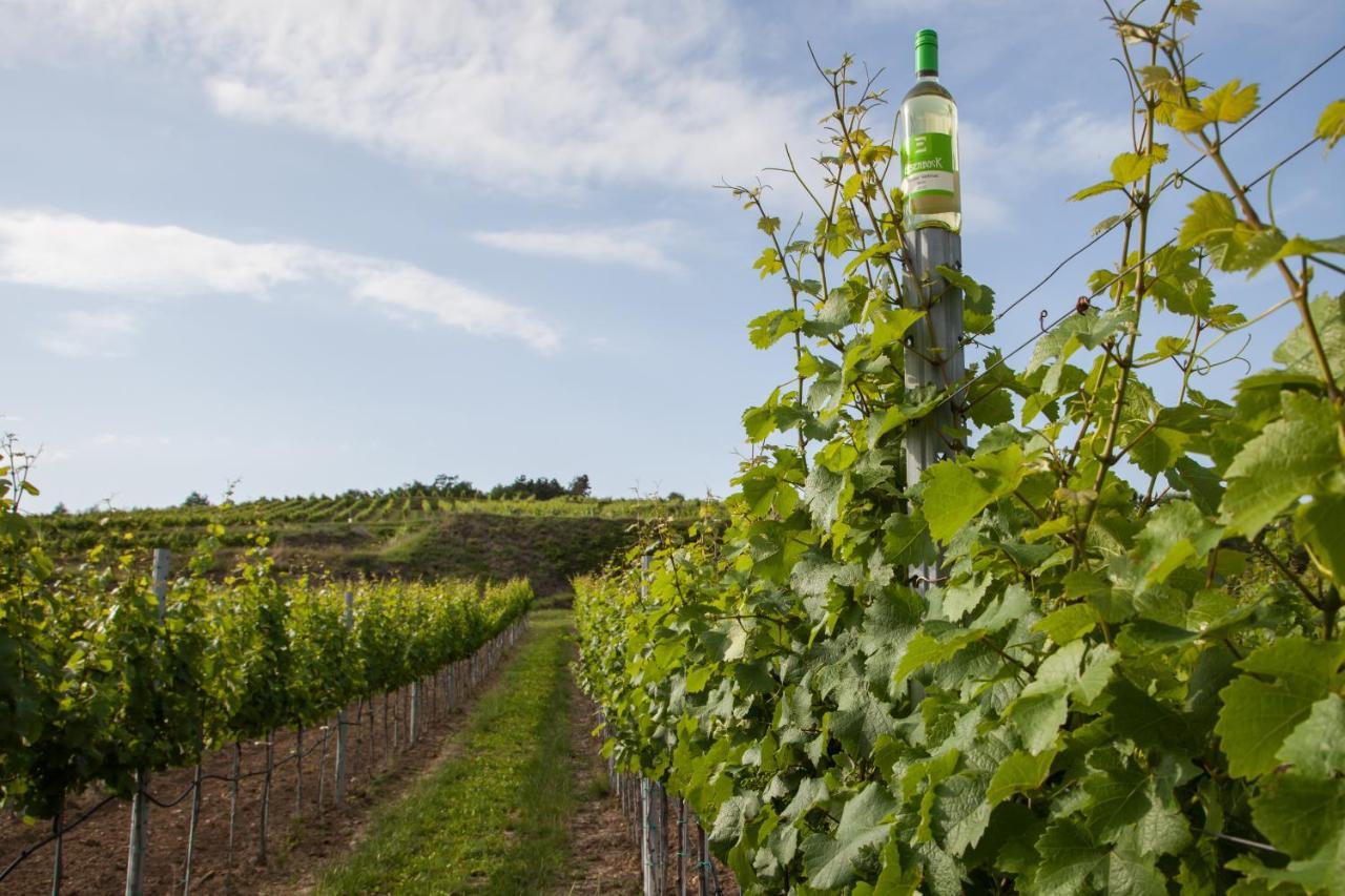 Ferienwohnung Am Weingut Eisenbock Strass  Zewnętrze zdjęcie