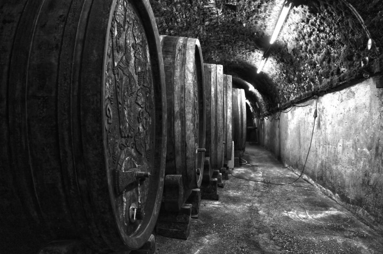 Ferienwohnung Am Weingut Eisenbock Strass  Zewnętrze zdjęcie