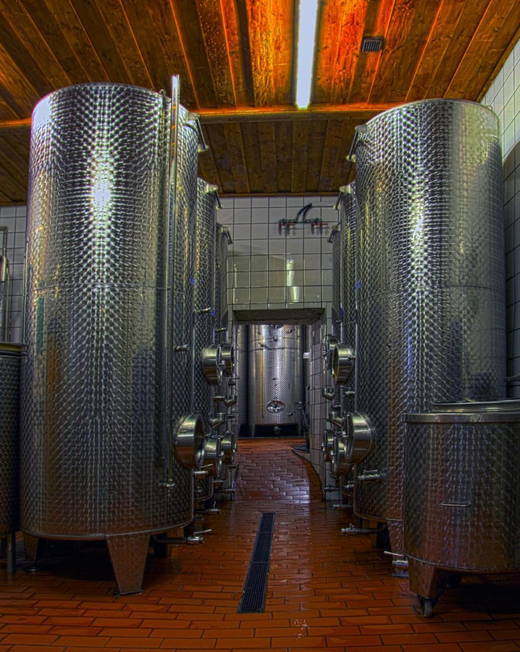 Ferienwohnung Am Weingut Eisenbock Strass  Zewnętrze zdjęcie